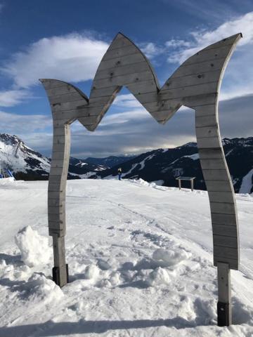 Tauernlodge Sonnblick Top 3 Muhlbach Am Hochkonig Luaran gambar